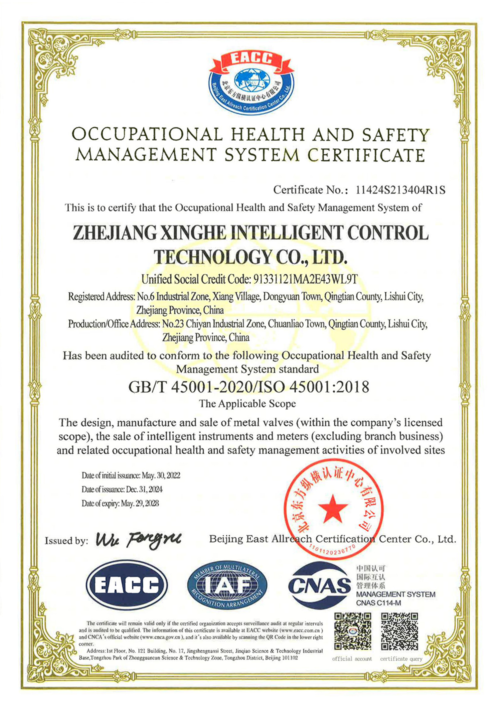 职业健康安全管理体系 ISO 45001 英文